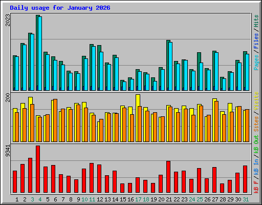 Daily usage for January 2026
