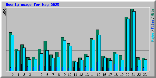 Hourly usage for May 2025