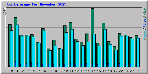 Hourly usage for November 2025