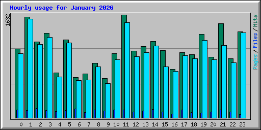 Hourly usage for January 2026